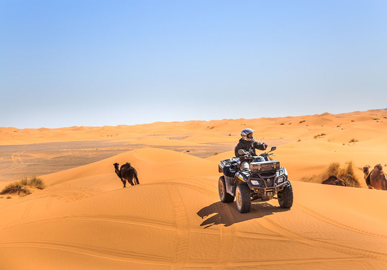 Quad erg lihodi desert