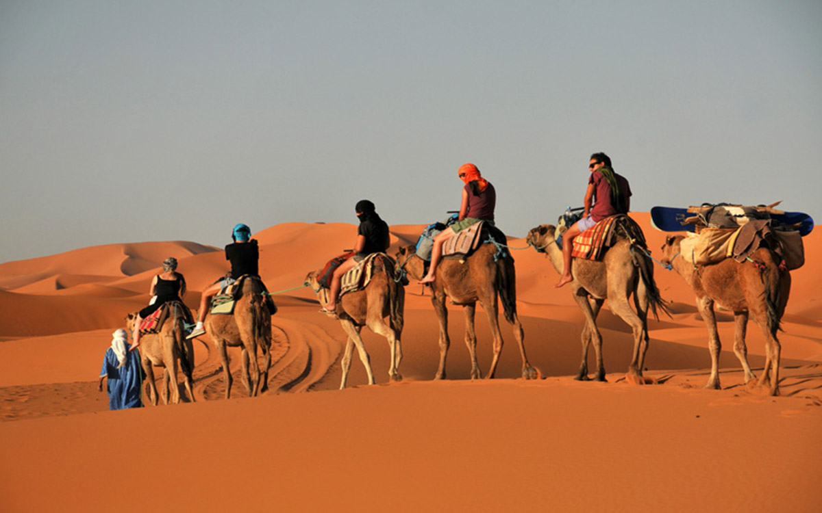 camel-ride experience in zagora