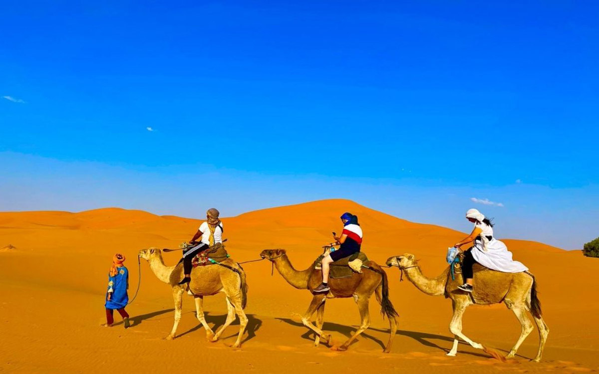 camel ride in zagora desert for 1 hour