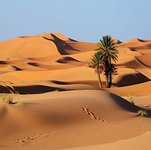 erg-chigag-dunes and oasis