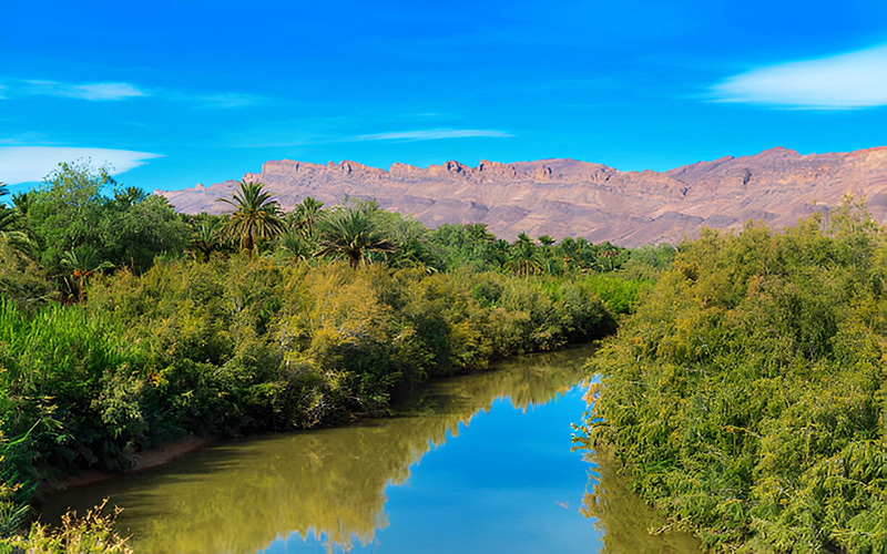 Best Zagora Oasis zagora desert tours