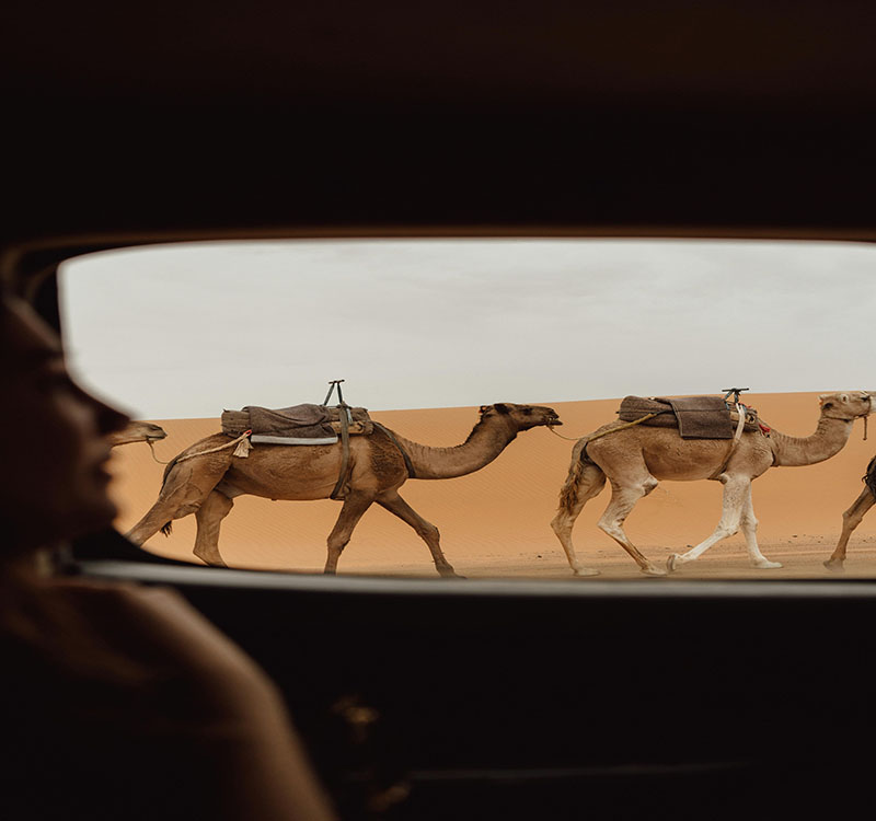 Camels Desert Experience Zagora Desert Tours